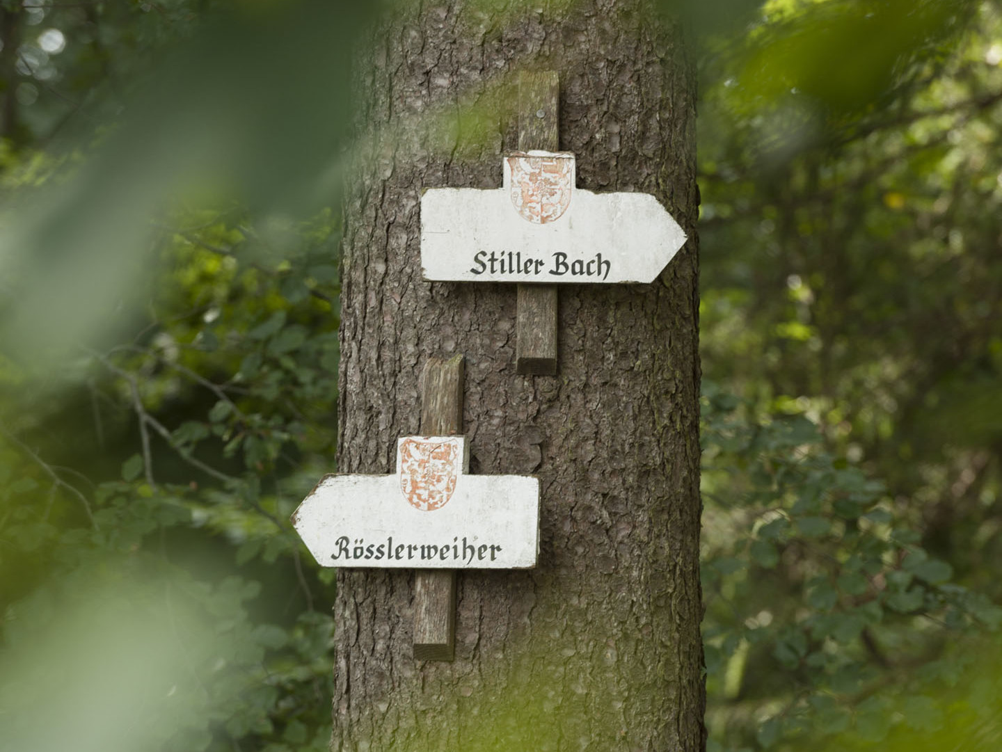 Schilder an einem Baum entlang des Stillen Bachs in Weingarten